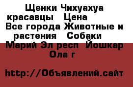 Щенки Чихуахуа красавцы › Цена ­ 9 000 - Все города Животные и растения » Собаки   . Марий Эл респ.,Йошкар-Ола г.